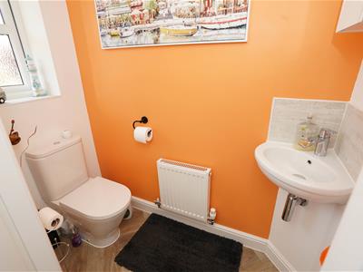 Picture 13